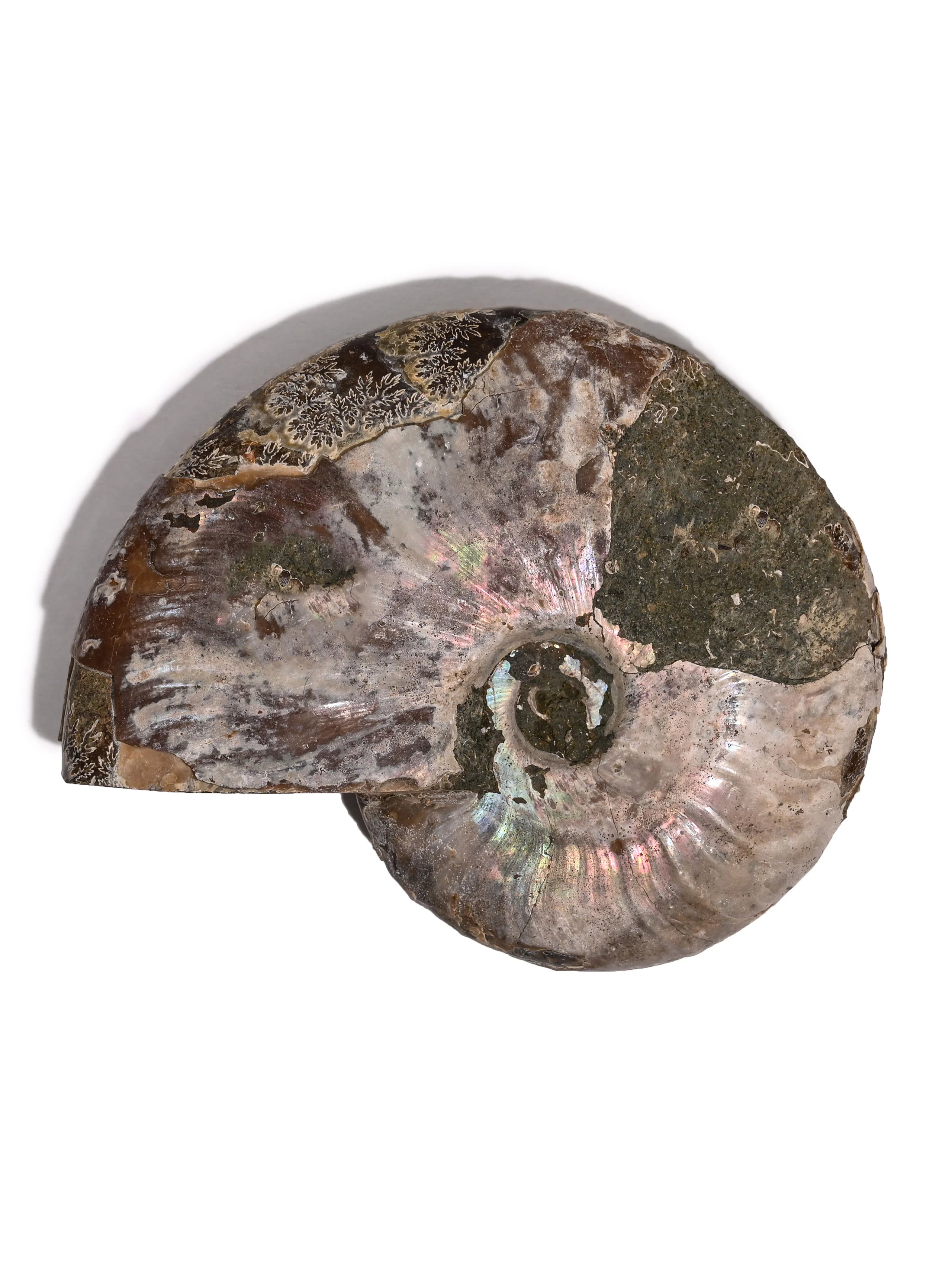 Product image 24