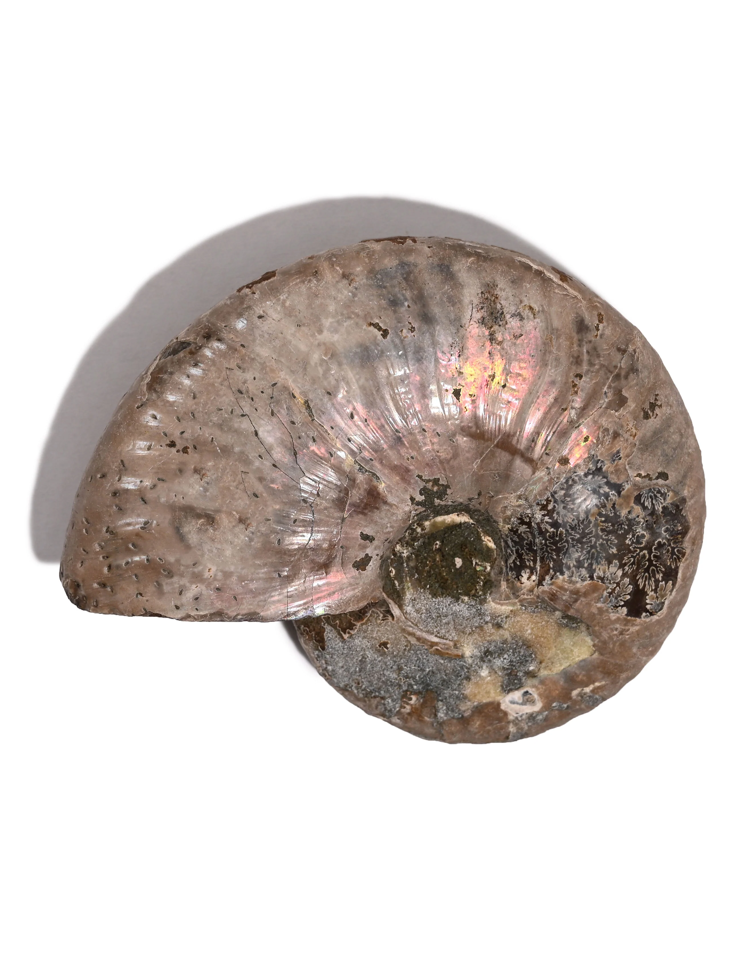 Product image 33