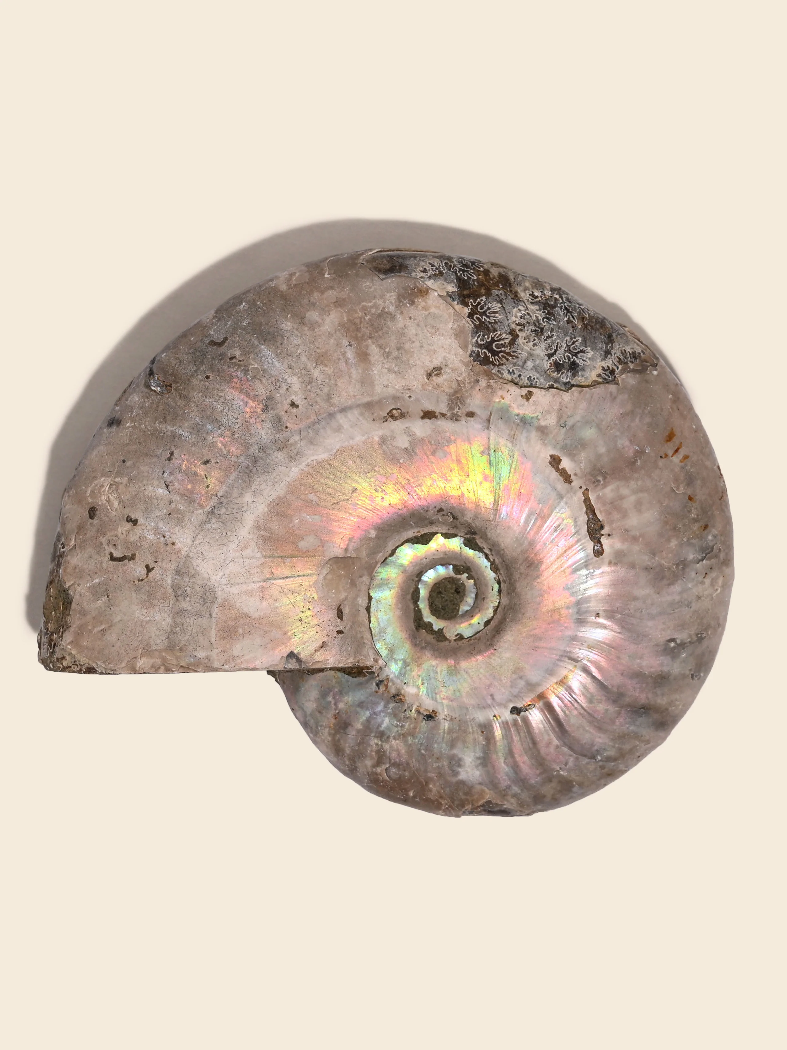 Product image 35